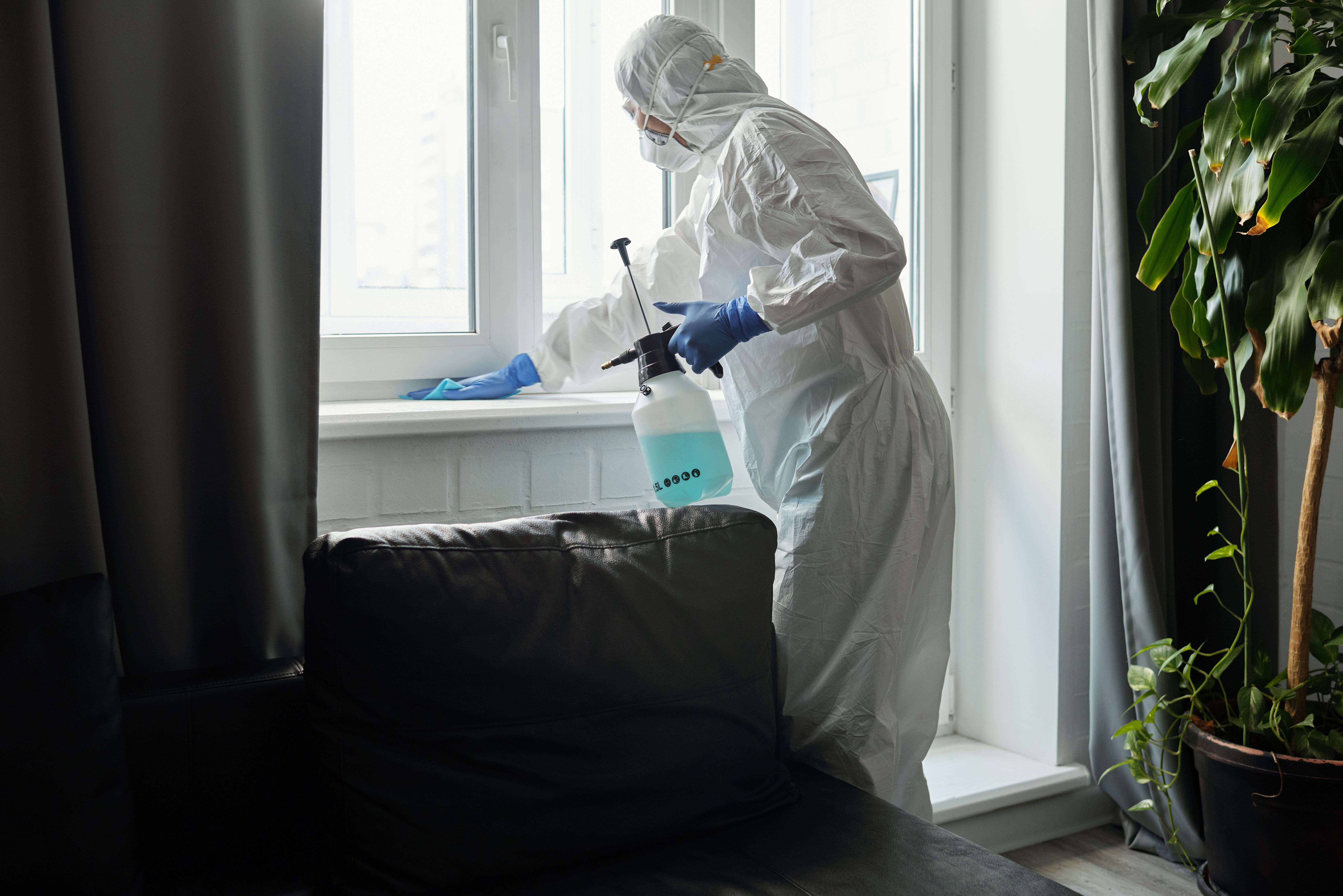 Cockroach control service