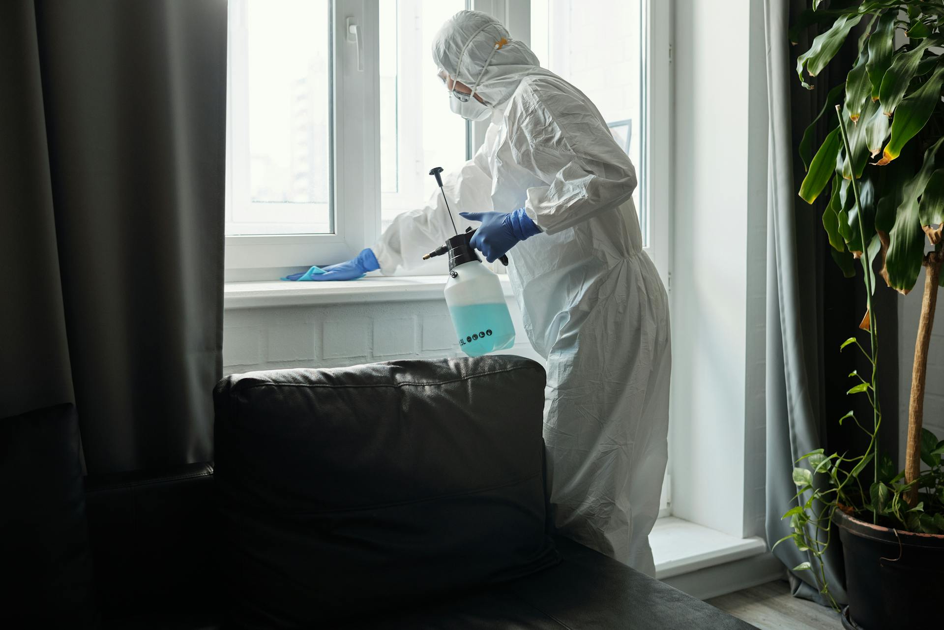 A Person Cleaning the Glass Window