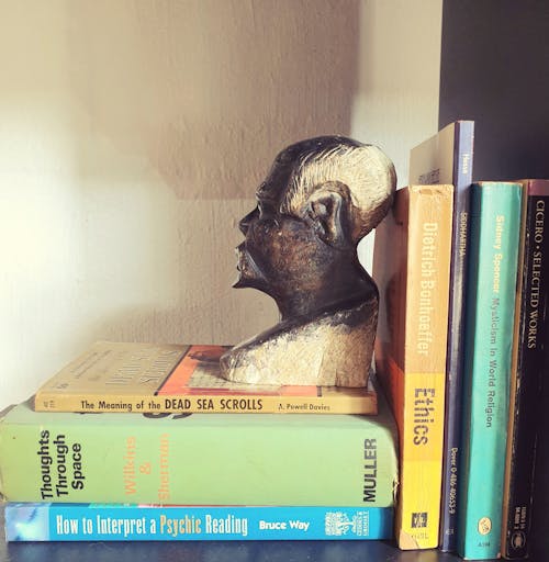 Foto profissional grátis de busto na cabeça, escultura, estante de livros