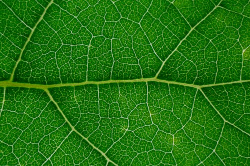 Foto profissional grátis de abstrair, alegre, arte