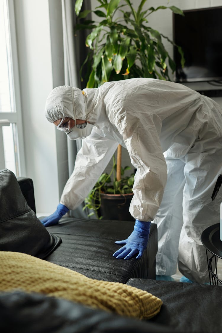 Person Cleaning The Living Room