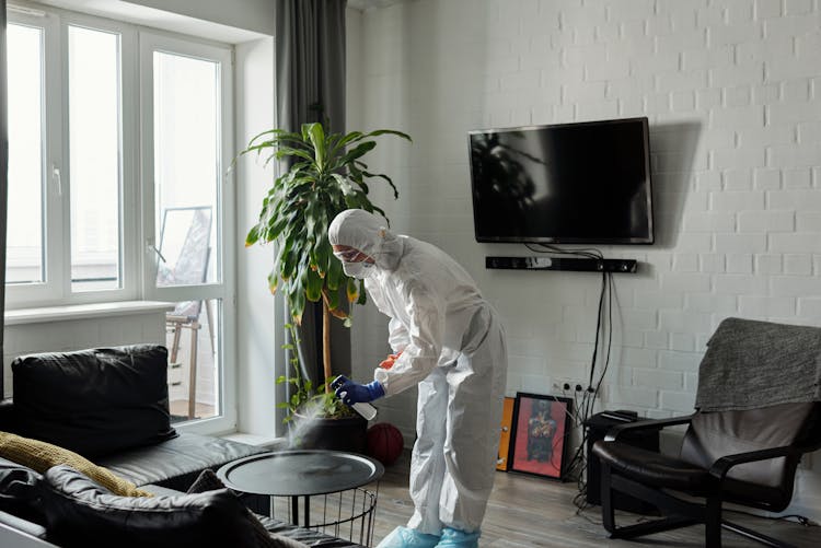 Person Cleaning The Living Room