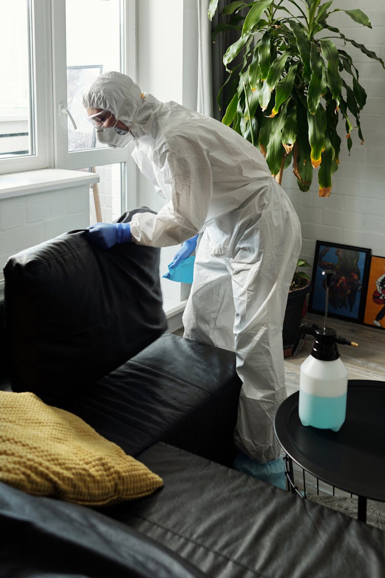 Person Cleaning The Black Couch