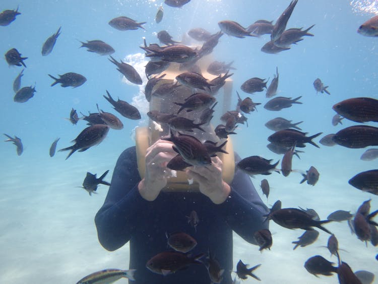 Man Diving And Swimming Among Fish