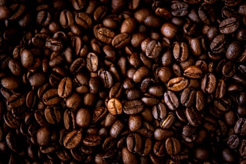 Free Close-up Shot of Coffee Beans Stock Photo