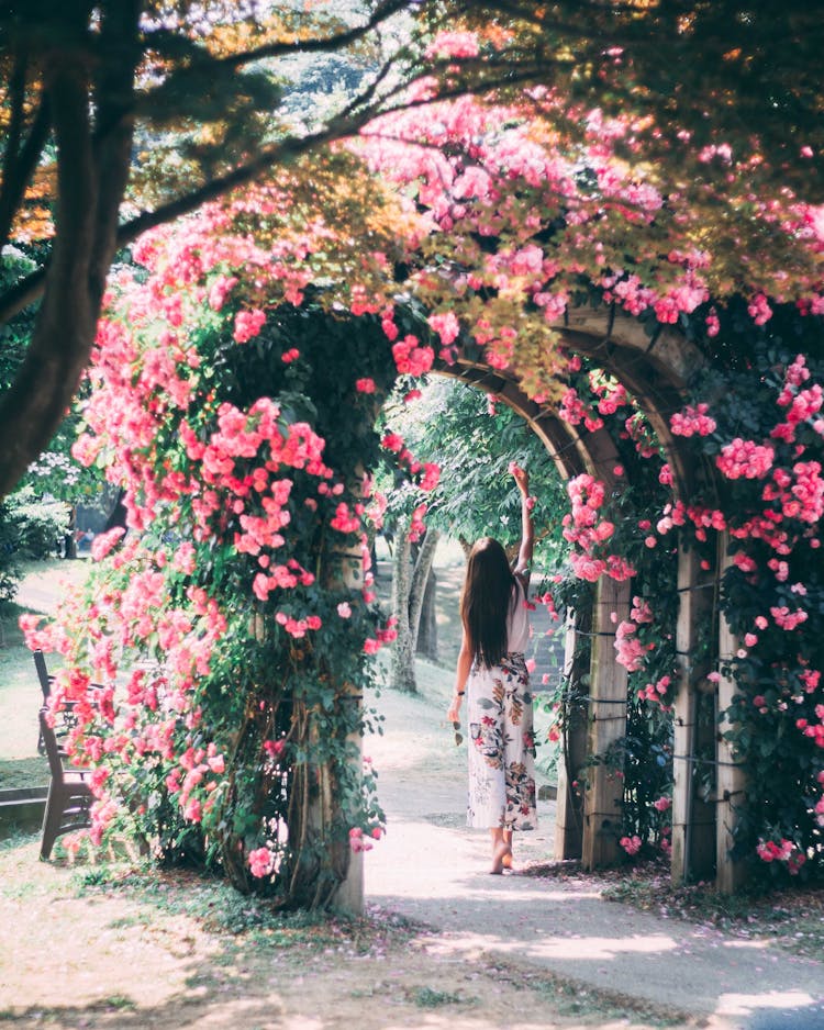 Woman In Garden Under Flower Arch