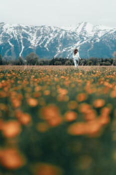 A woman walks through a meadow of orange wildflowers with snowcapped mountains in the background.