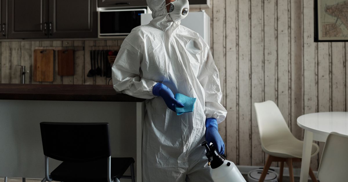 Why Is Mosquito Control Essential to Prevent Dengue