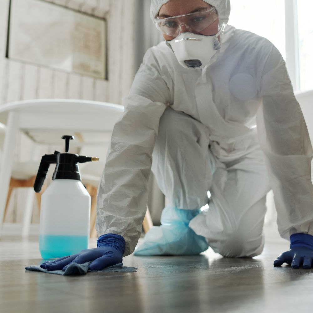 Kitchen Spraying in Gunnersbury — a freshly painted, spotless finish