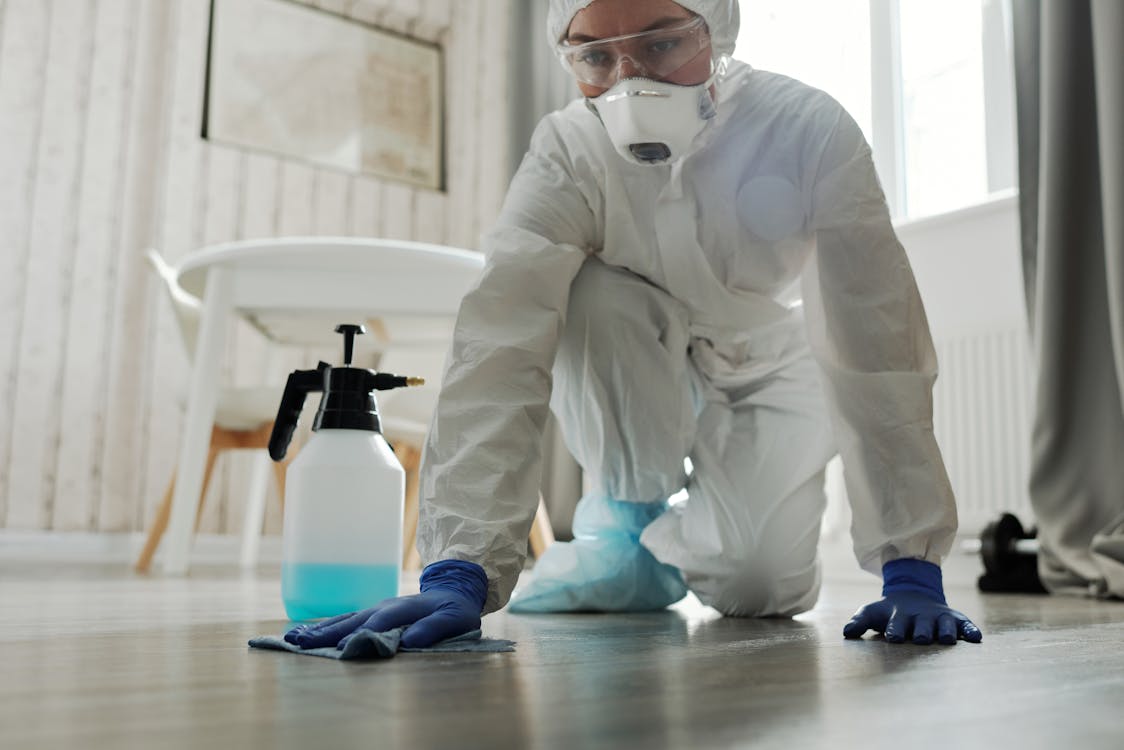 A professional cleaner cleaning the floor
