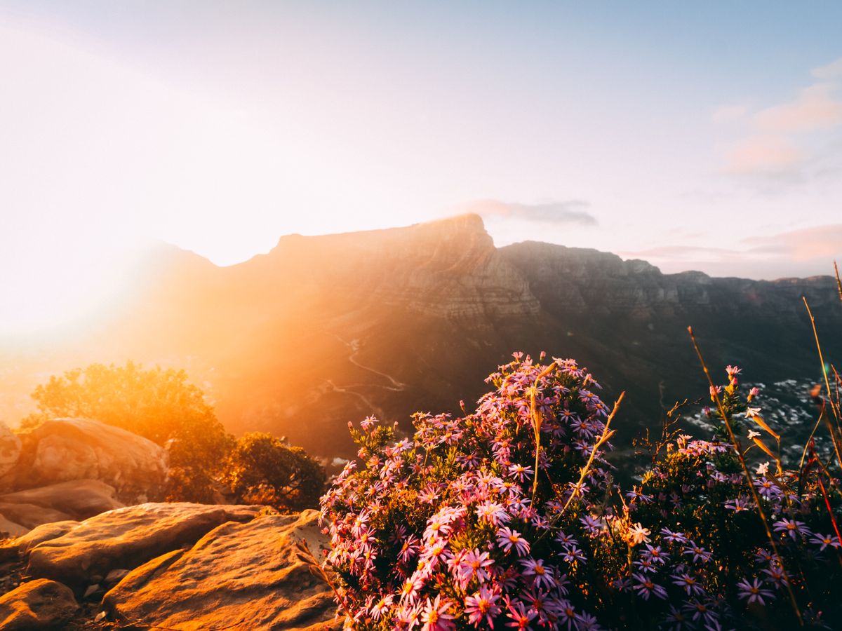 2 Day Luxury Wellness Experience at Sanctm in South Africa 2