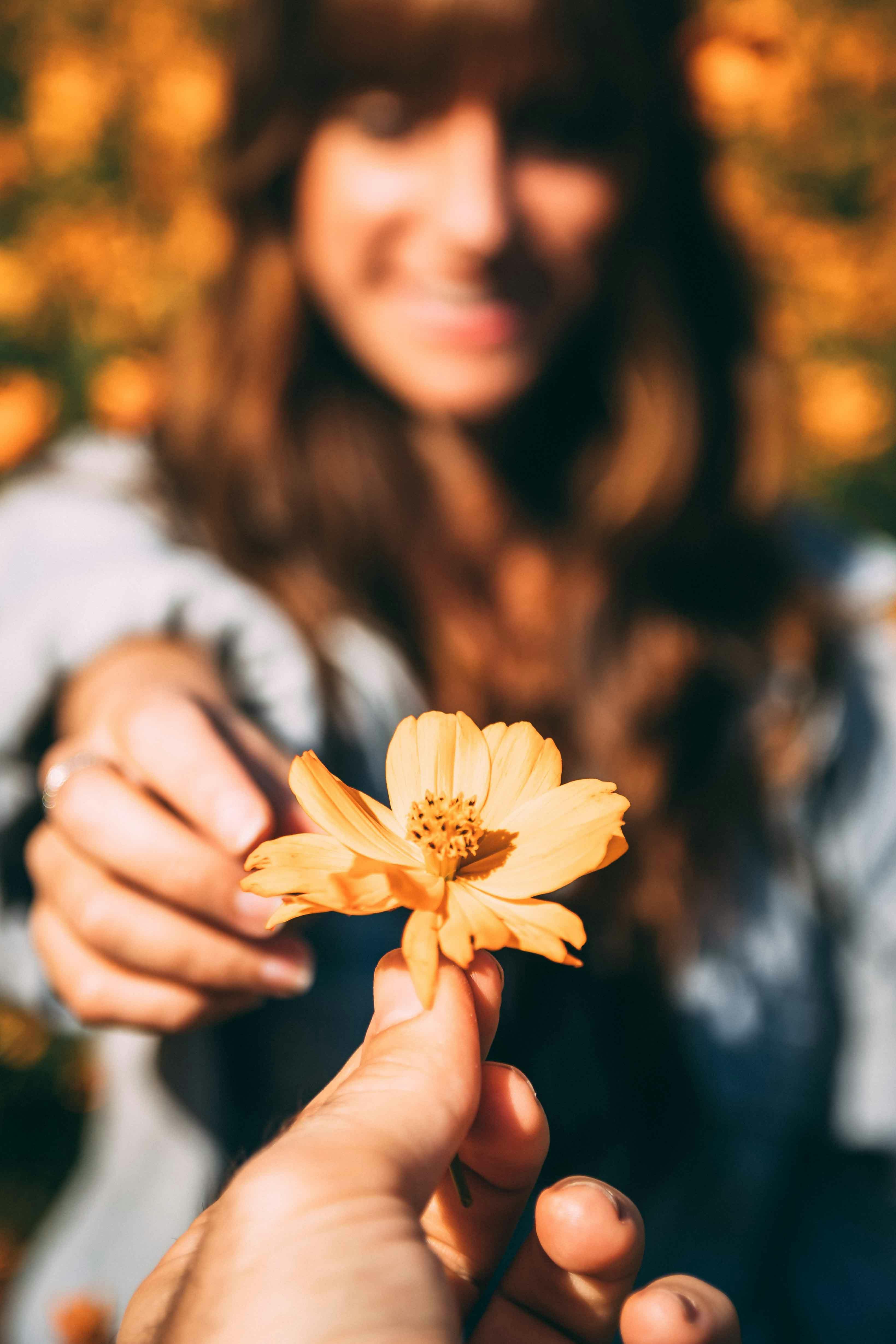 A close-up view of a hand holding a yellow flower, with a smiling woman and a floral backdrop.