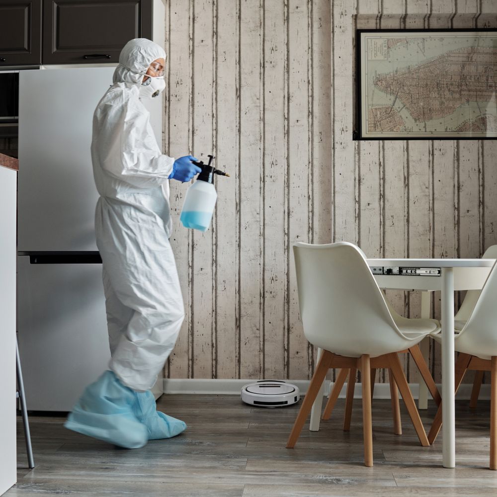 Kitchen Spraying in Golders Green — walls rolled to an even, flat finish