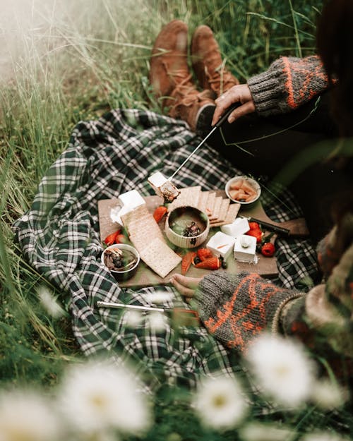 Free Person in Black and White Plaid Long Sleeve Shirt Having A Picnic  Stock Photo