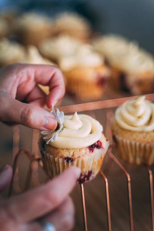 Person Holding Cupcake With White Icing on Top