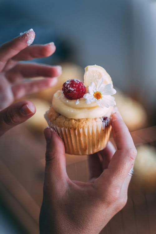 Free Person Holding Cupcake With White Icing Stock Photo