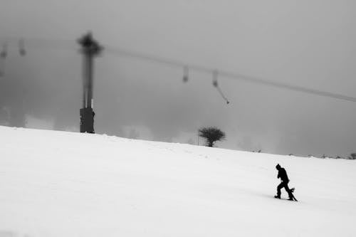 Free stock photo of black and white, black and white background, ski