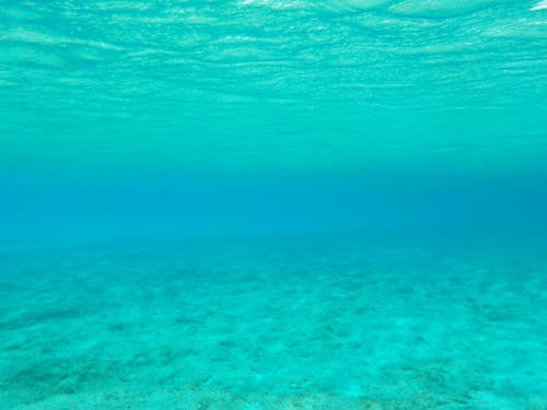 水上冒险, 水下, 水下摄影 的 免费素材图片