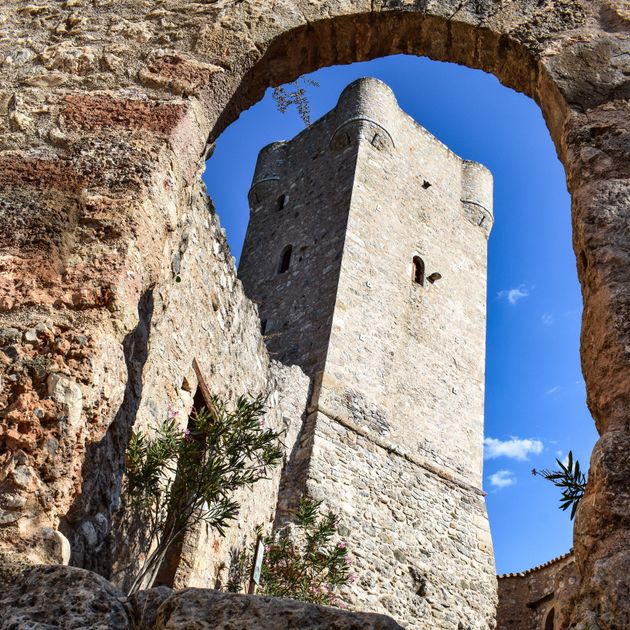 Ramos de orégano fresco com folhas verdes sobre superfície rústica de madeira