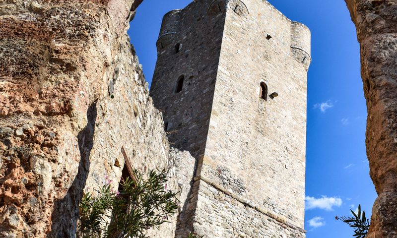 Ramos de orégano fresco com folhas verdes sobre superfície rústica de madeira