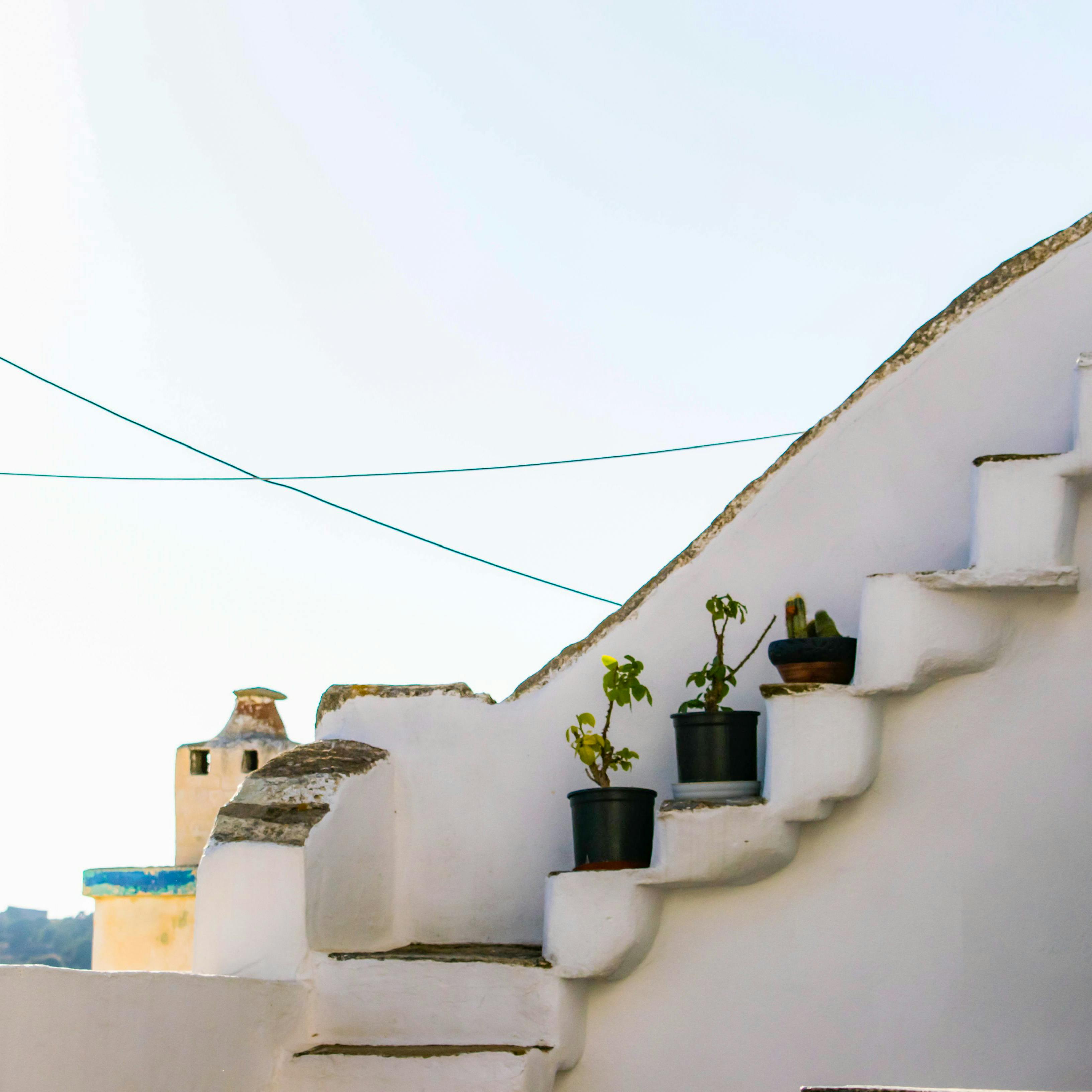 Heavy Duty Metal Rat Trap