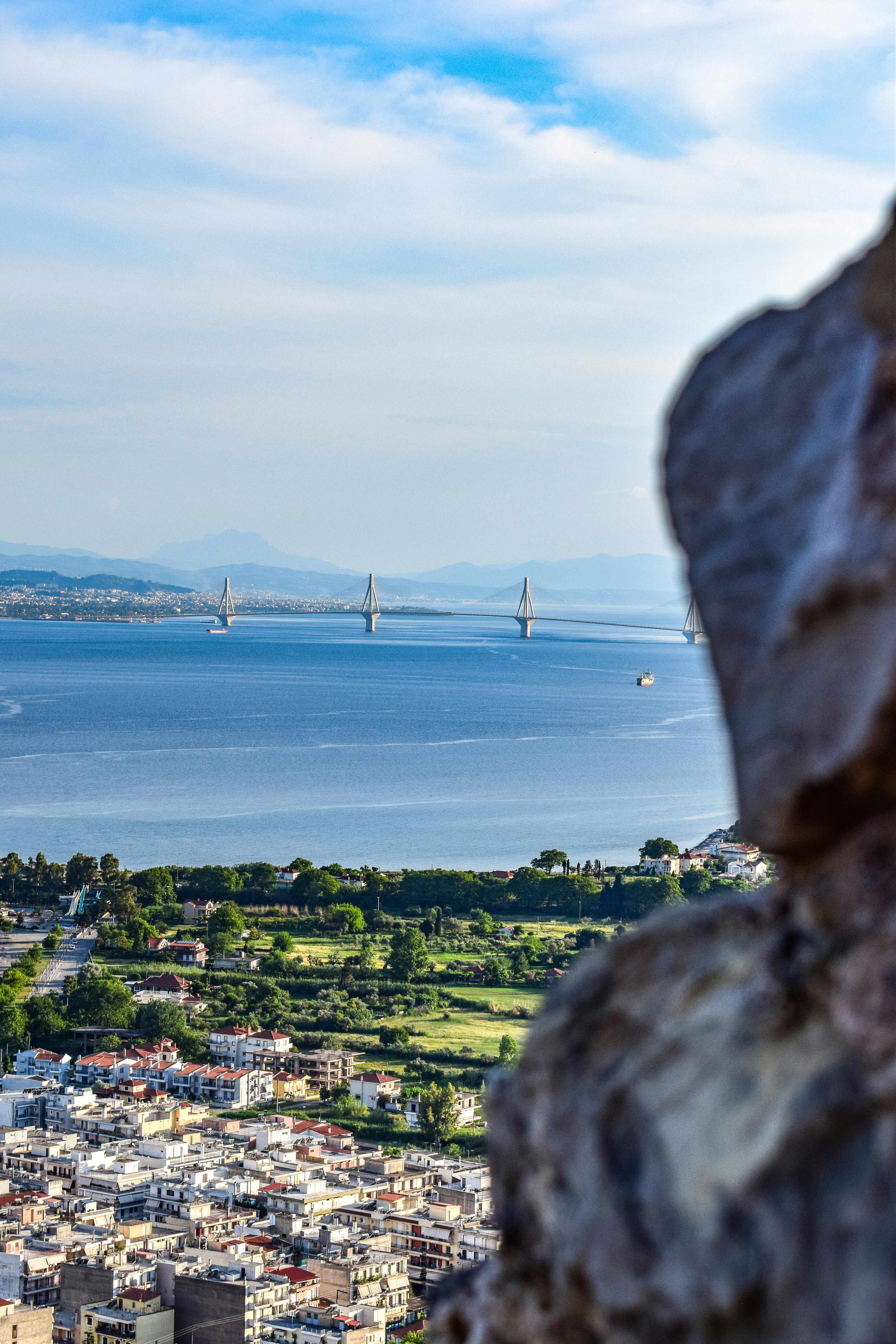 Professional Ant Killer Powder