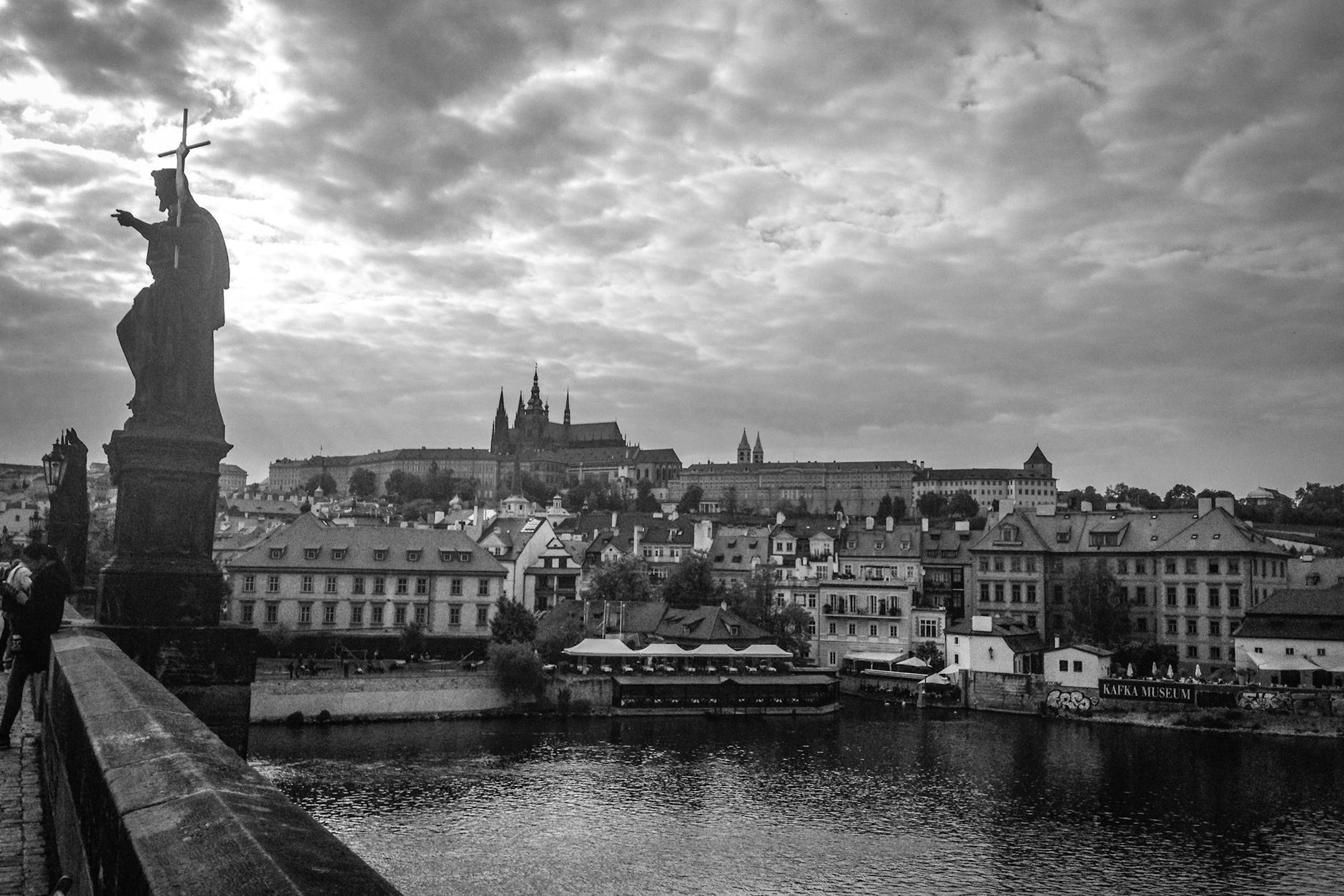 Женское лицо с красными розами