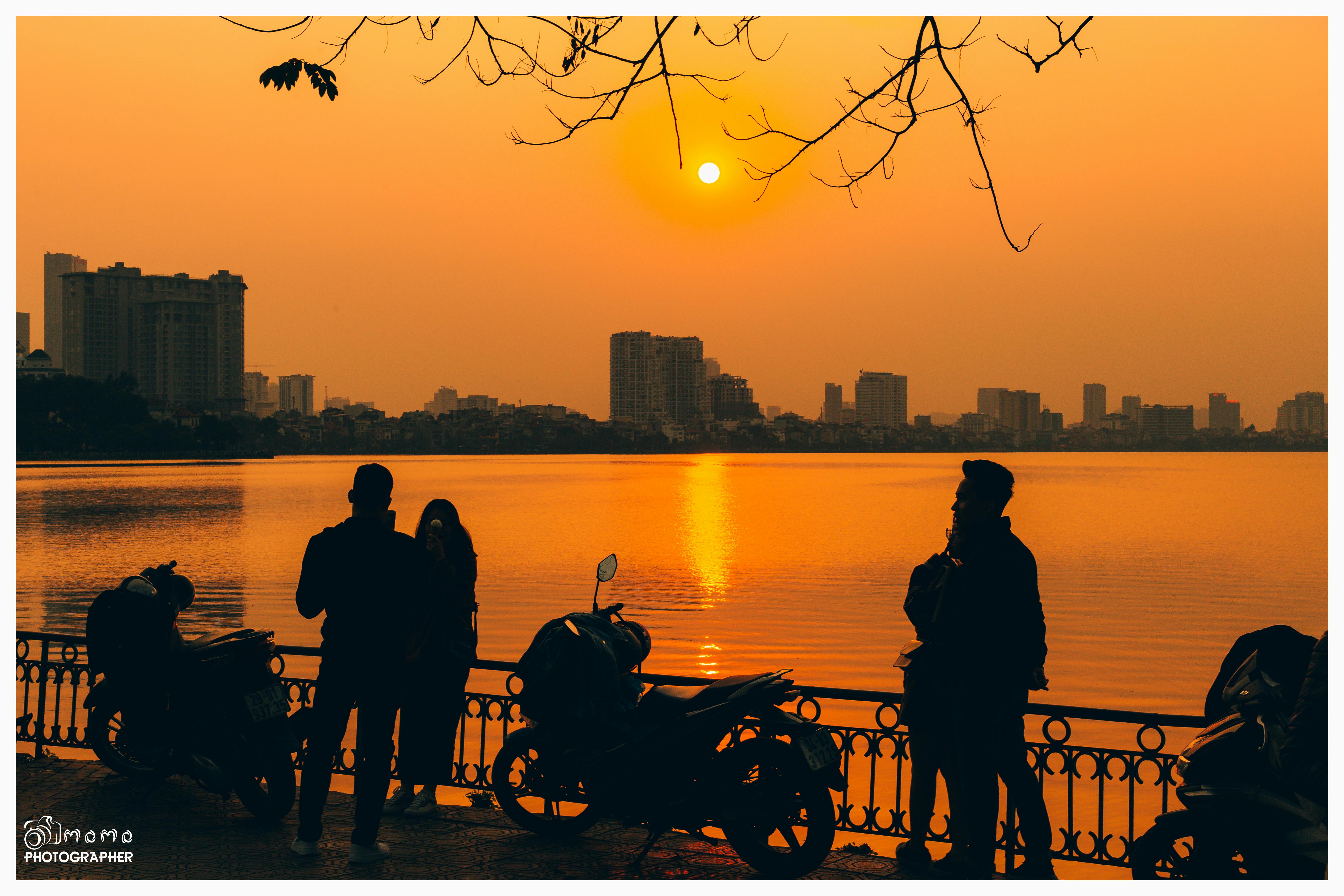 Pure Neem Oil Pest Spray