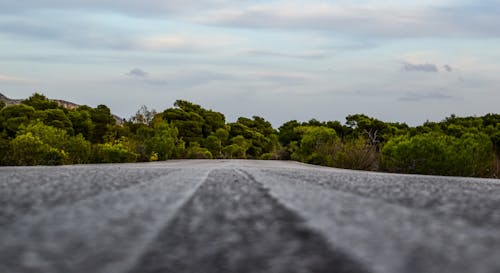 Free stock photo of country road, empty road, road