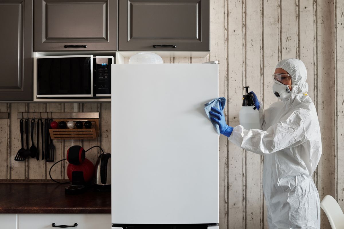Pest control technician inspecting Tampa home for rodent activity