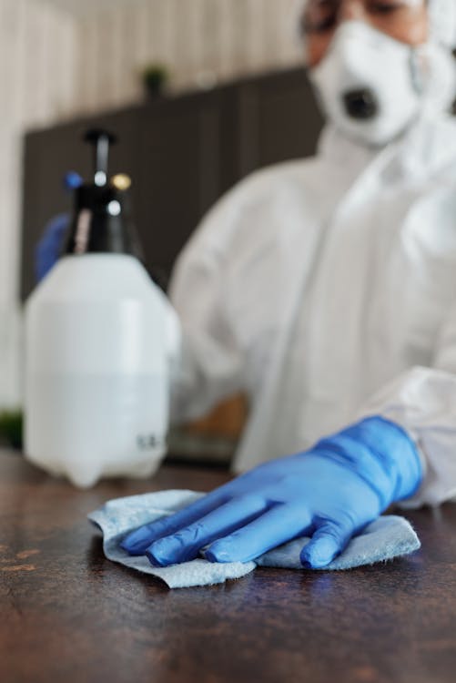 Person Wearing Blue Latex Gloves And Face Mask