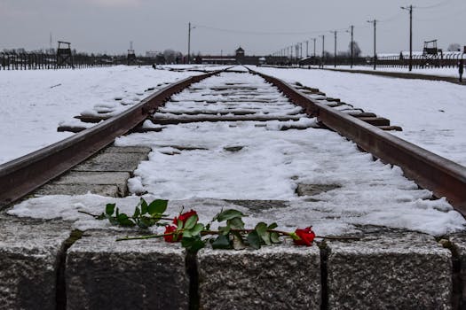 Snow-covered railway tracks with red roses at Auschwitz-Birkenau, Poland.