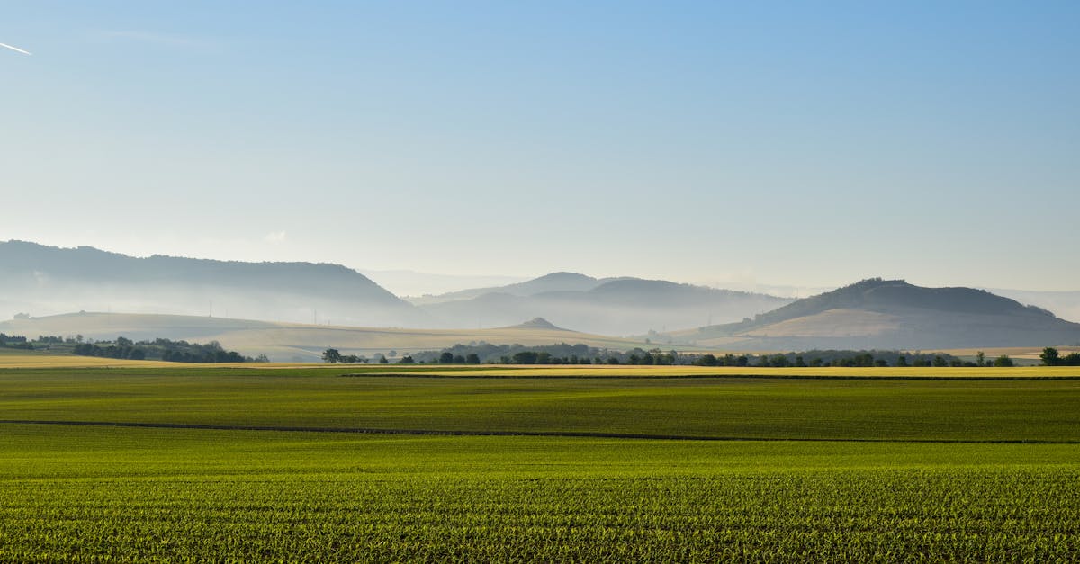 Vacances Vertes: Écotourisme en France