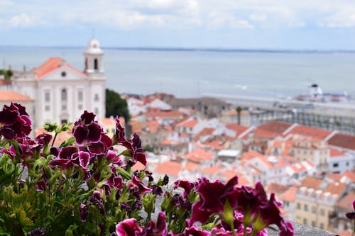 Free stock photo of city photography, destination, lisboa