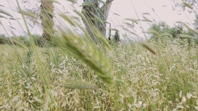 Monthly refill subscription