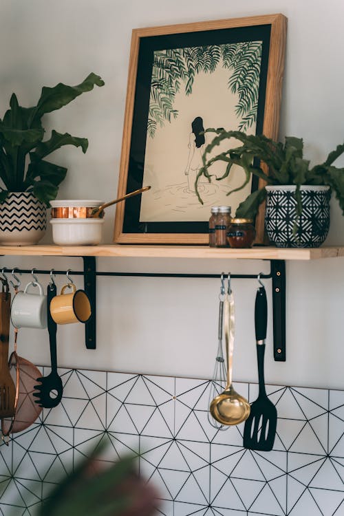 Green Plants  And A Frame On A Shelf