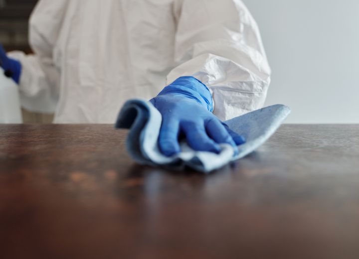 Home maintenance and cleaning project