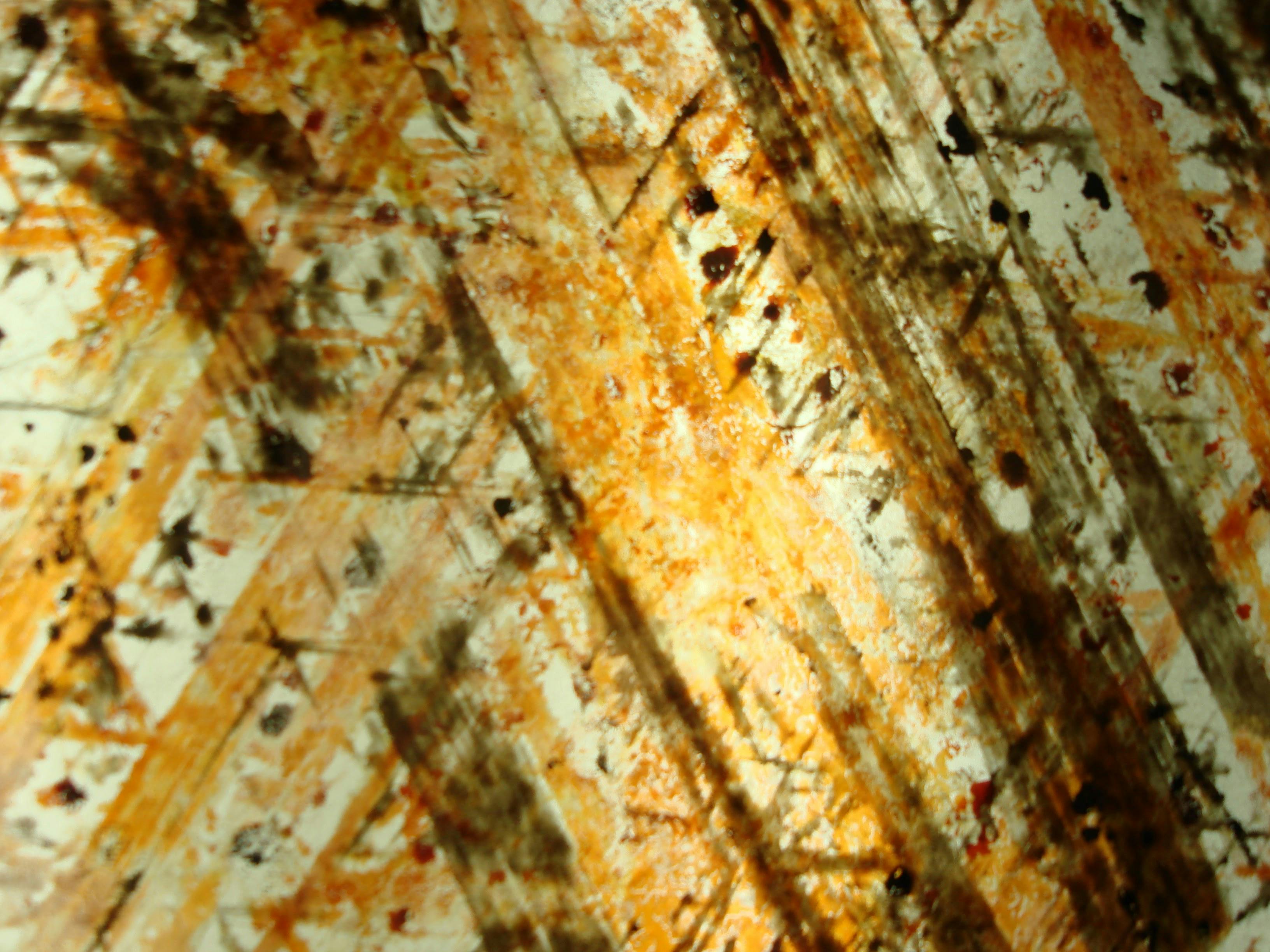 A person adding food scraps to a home composting bin, with lush green plants in the background