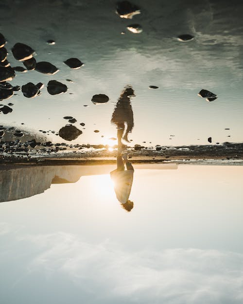 Free Upside down of anonymous person standing alone and reflecting in water surface during sunset Stock Photo