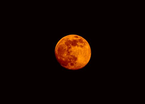 Stunning vibrant orange blood moon against a dark night sky, showcasing lunar texture.