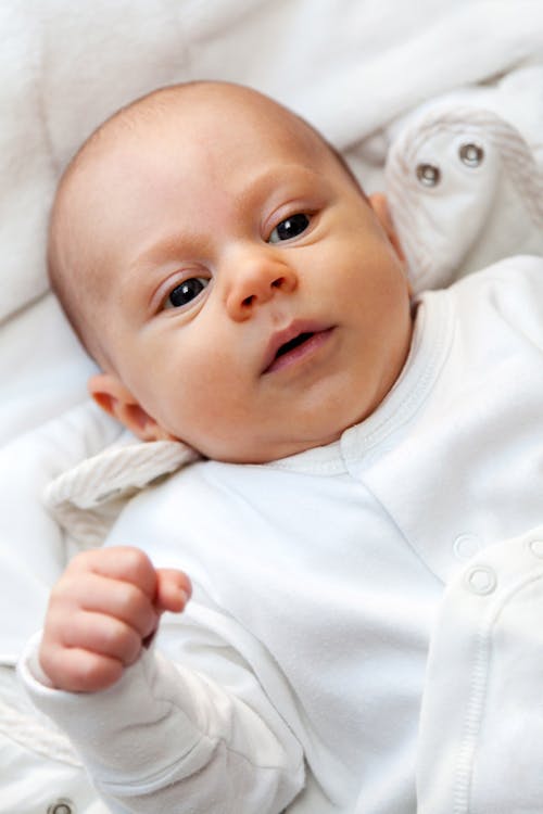 Gratis Fotos de stock gratuitas de adorable, bebé, blanco Foto de stock