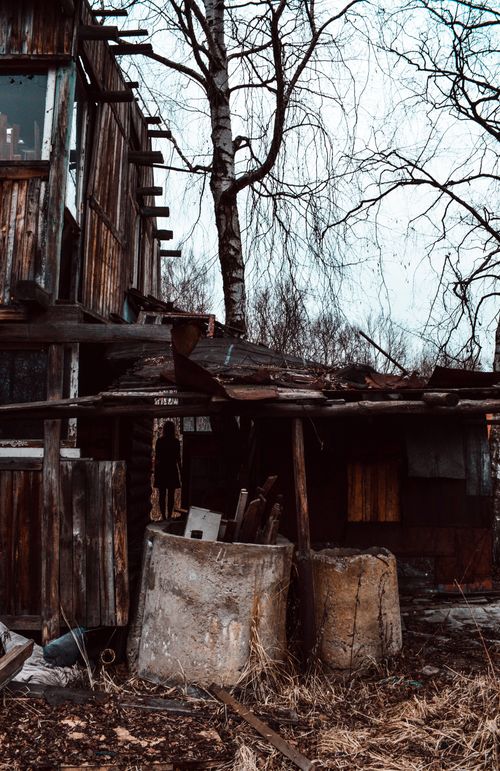 Free Silhouette of woman standing in doorway of abandoned wooden barn against high birch in village Stock Photo