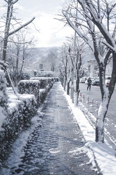宁静的冬季街景中，一条白雪覆盖的小路向远方延伸，两旁树木林立