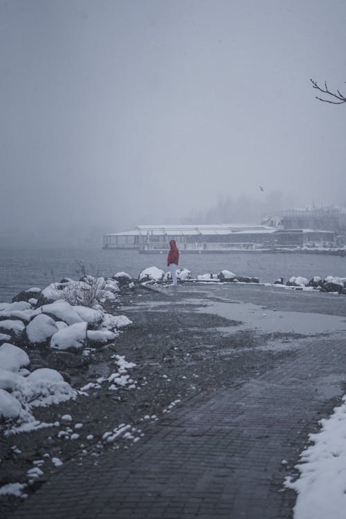 Free Person in Red Jacket Standing Near Body of Water On A Cold Day Stock Photo