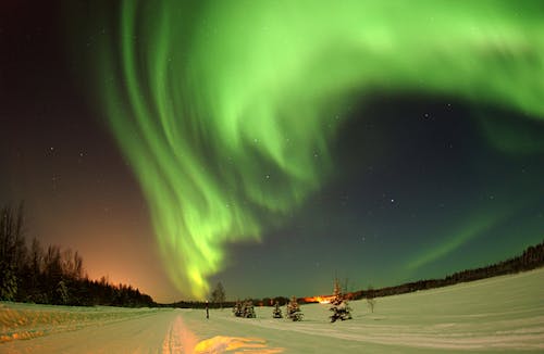 Watch Alaska’s Fall Leaves Glow Under the Northern Lights