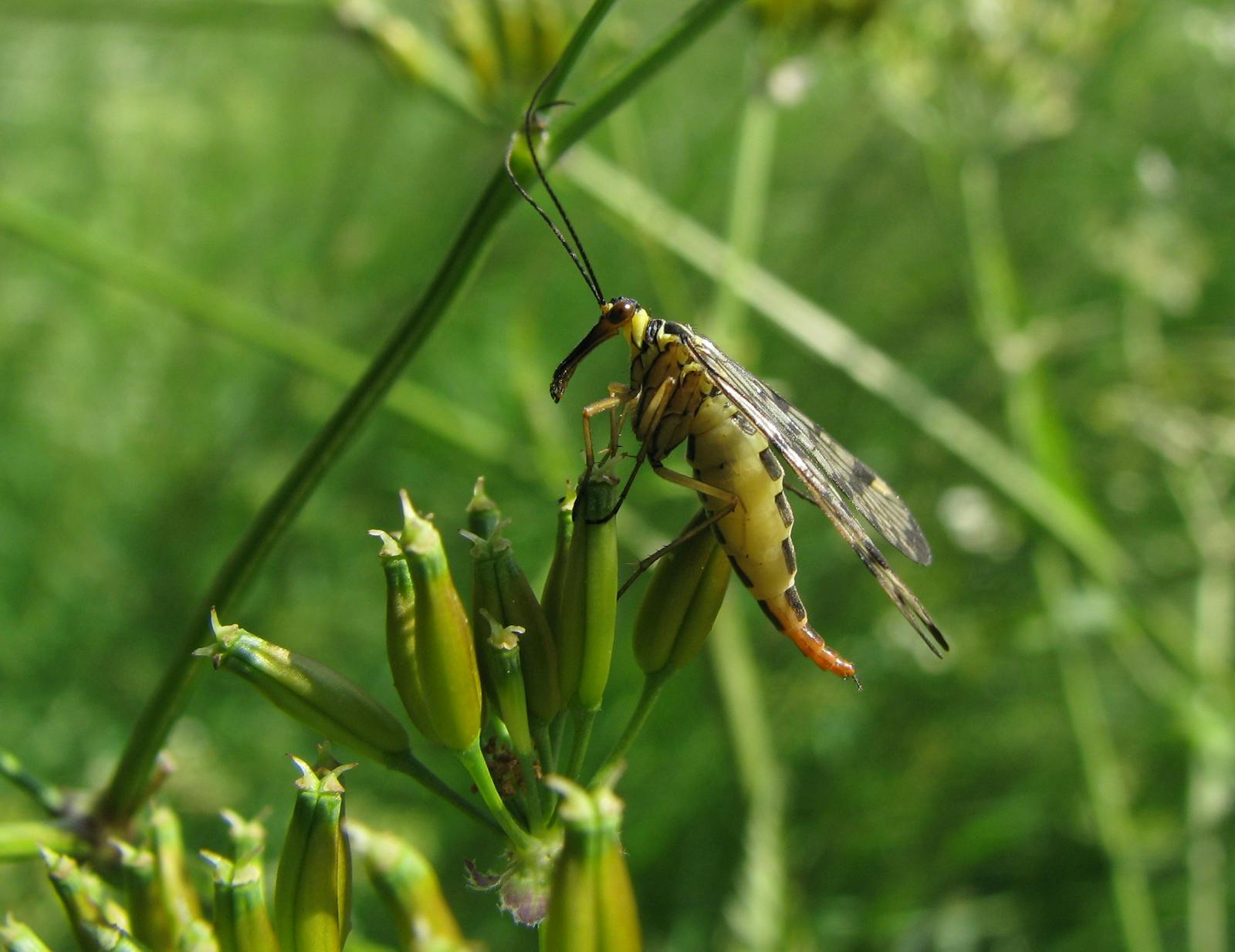 Parent pausing to take a breath with child playing nearby