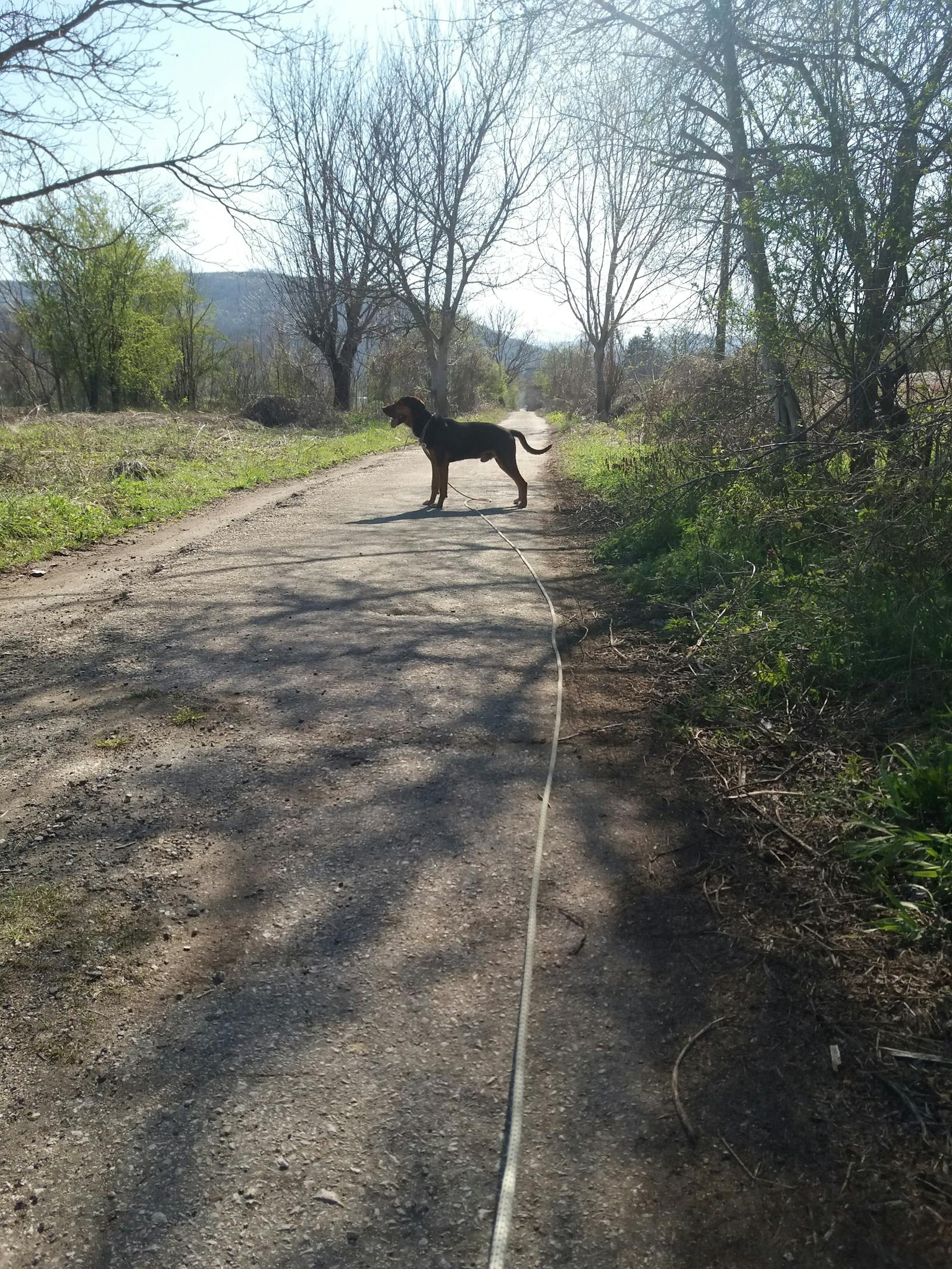 Family sitting together on a couch, supporting a teenager who looks distressed