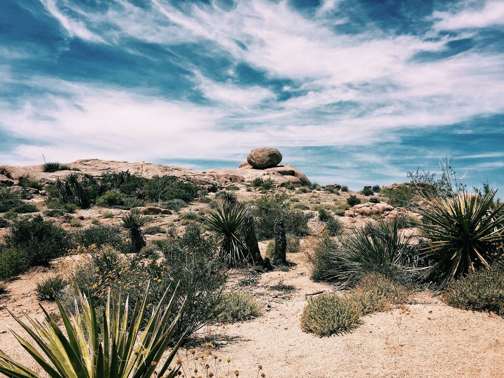 Twentynine Palms — Twentynine Palms