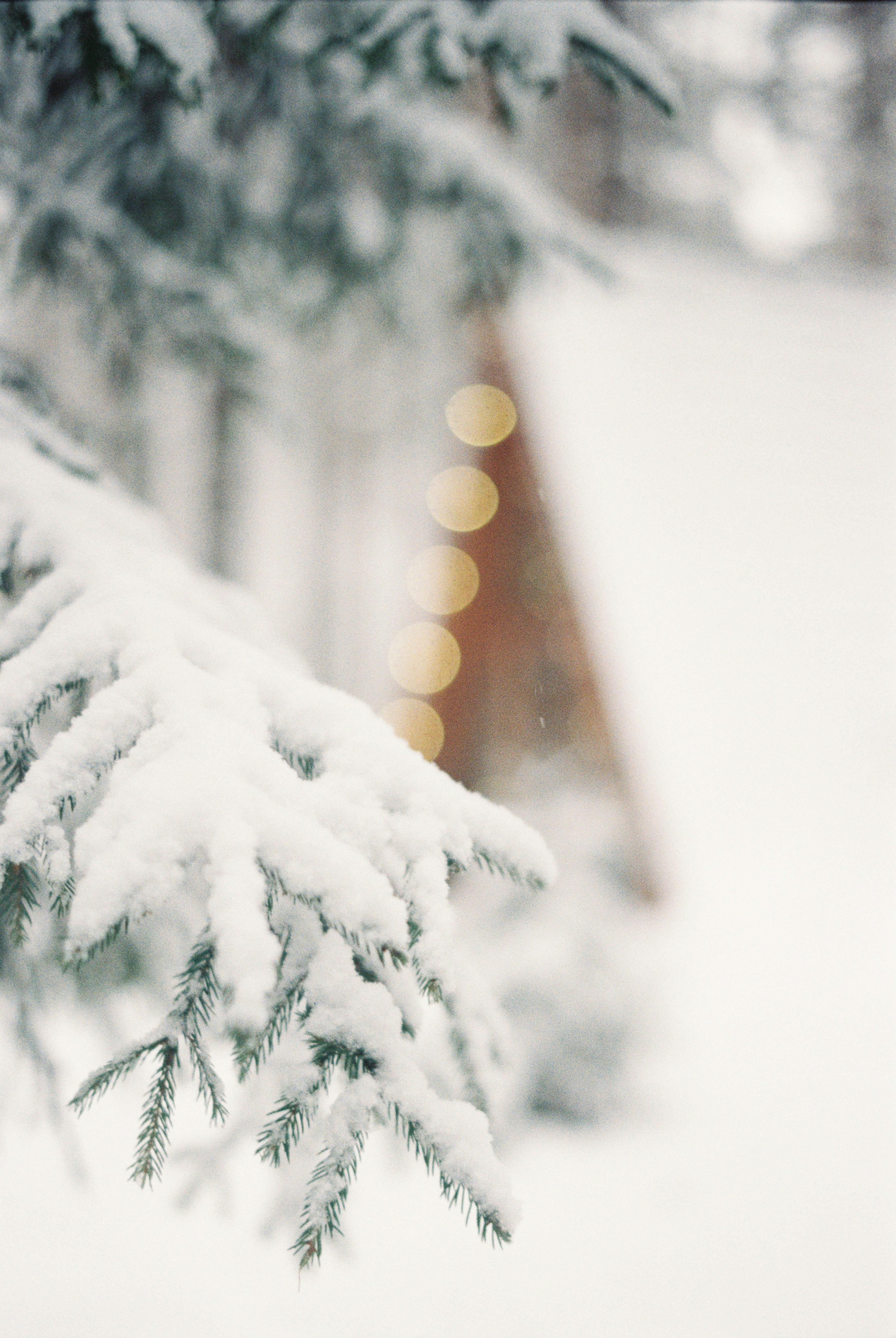 50 Beautiful Winter Wallpapers For Your Desktop Vol 2  Hongkiat