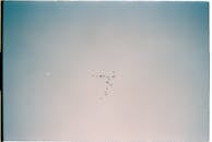 影片中，候鸟在清澈的蓝天下形成图案